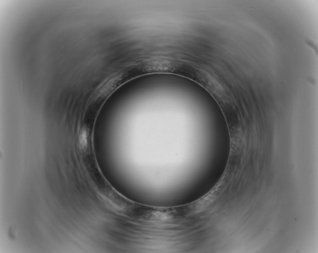 X0000096210166200801251042