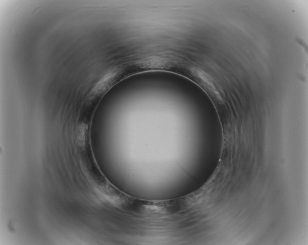 X0000096210167200801251042