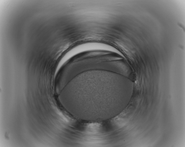 X0000096210168200801251042