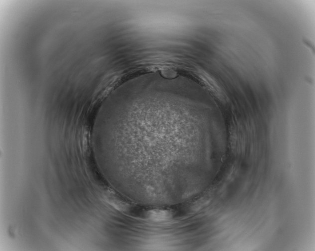 X0000096210169200801251042