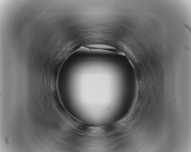 X0000096210170200801251042