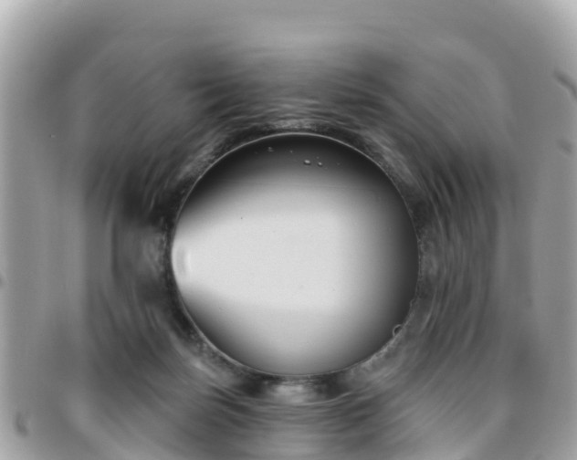 X0000096210171200801251042