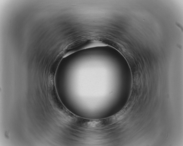 X0000096210172200801251042