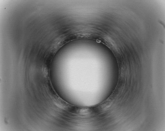 X0000096210173200801251042