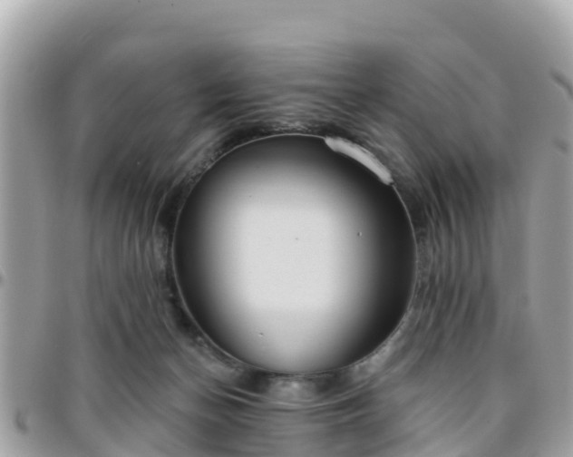 X0000096210174200801251042