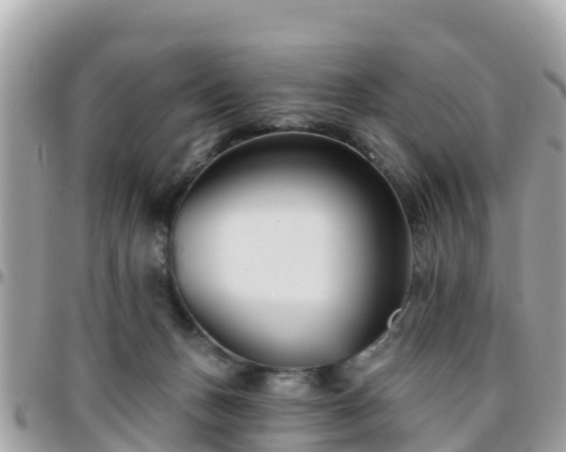 X0000096210175200801251042