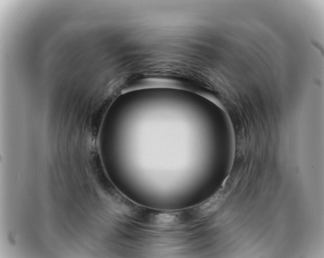 X0000096210176200801251042