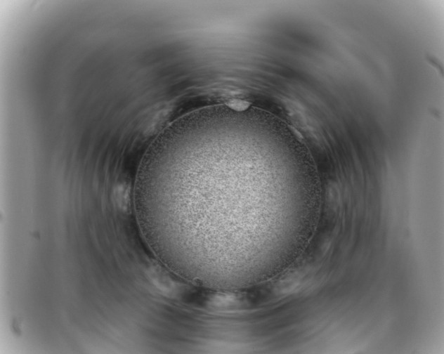 X0000096210177200801251042