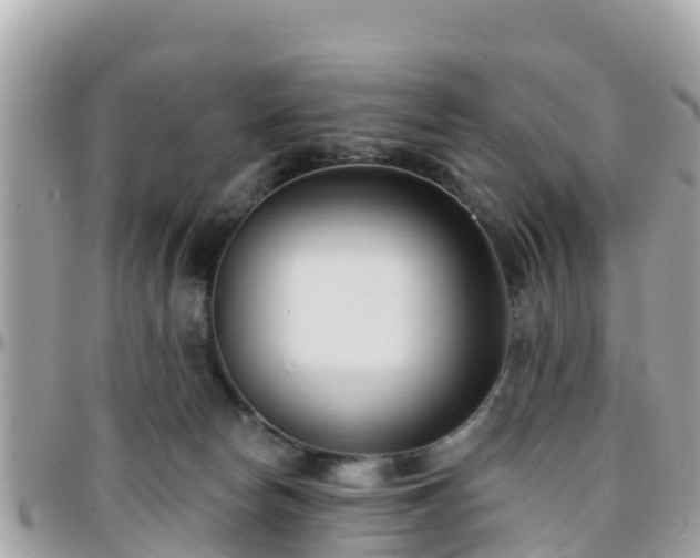 X0000096210178200801251042