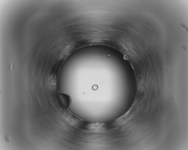 X0000096210179200801251042