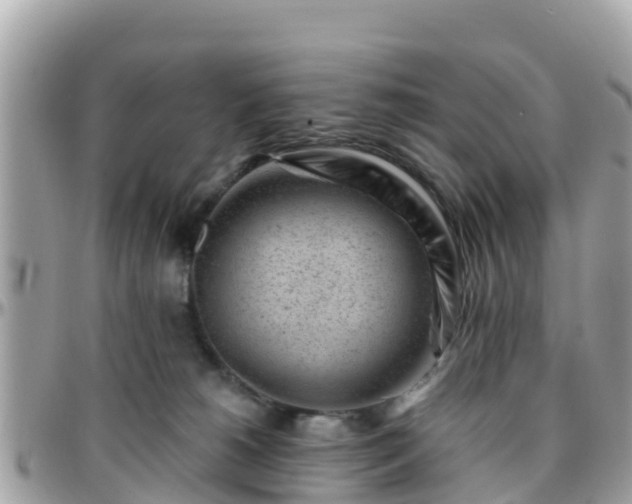 X0000096210180200801251042