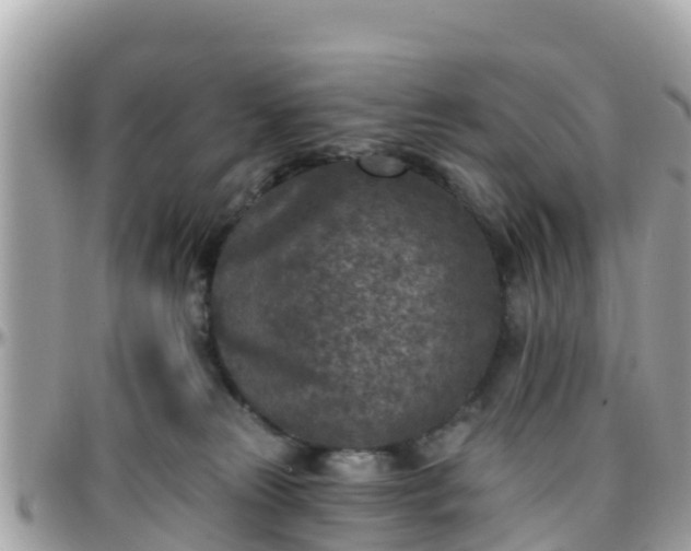 X0000096210181200801251042