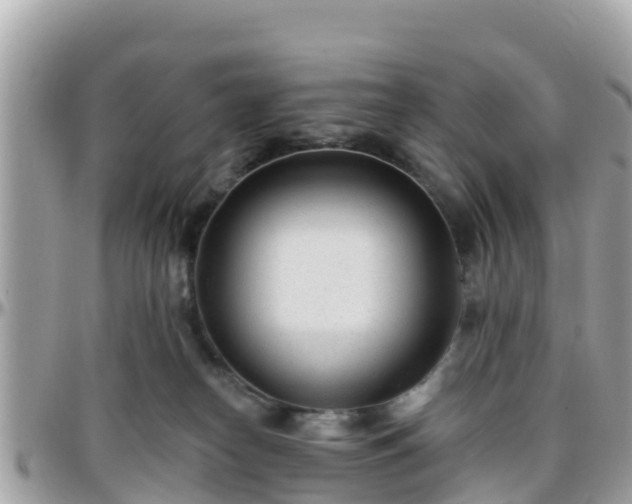 X0000096210182200801251042