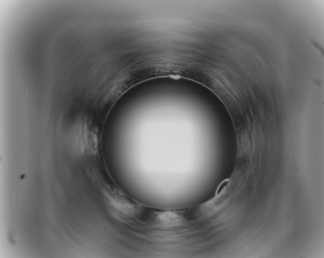 X0000096210183200801251042