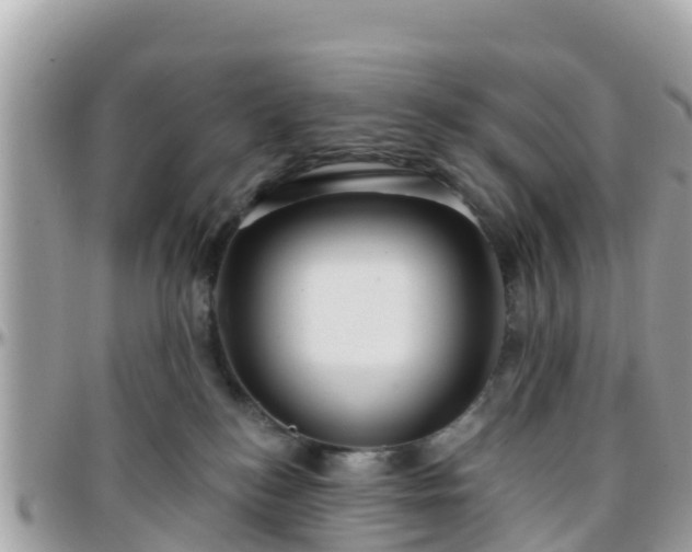 X0000096210184200801251042