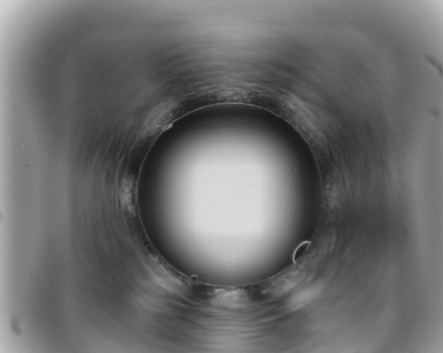 X0000096210185200801251042