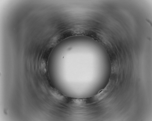 X0000096210187200801251042