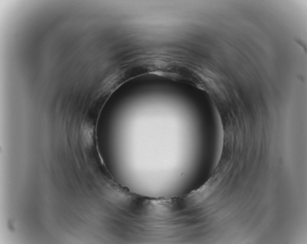 X0000096210188200801251042