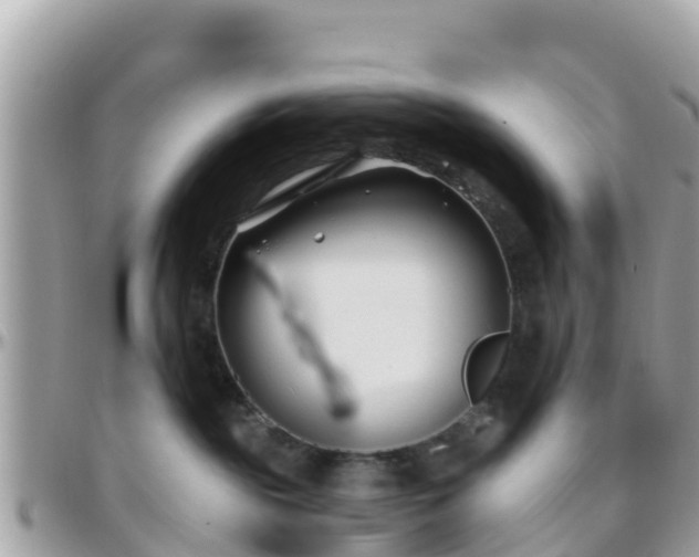 X0000096210189200801251042