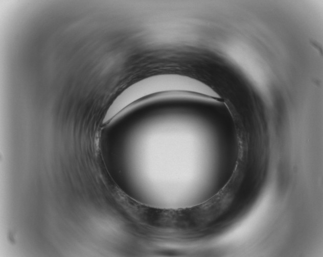 X0000096210190200801251042