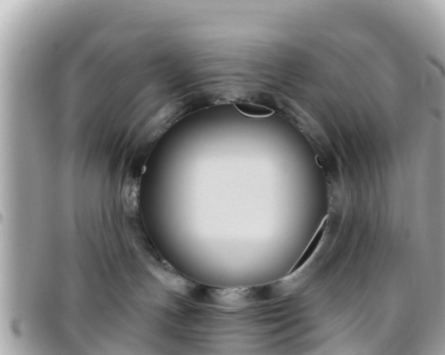 X0000096210191200801251042