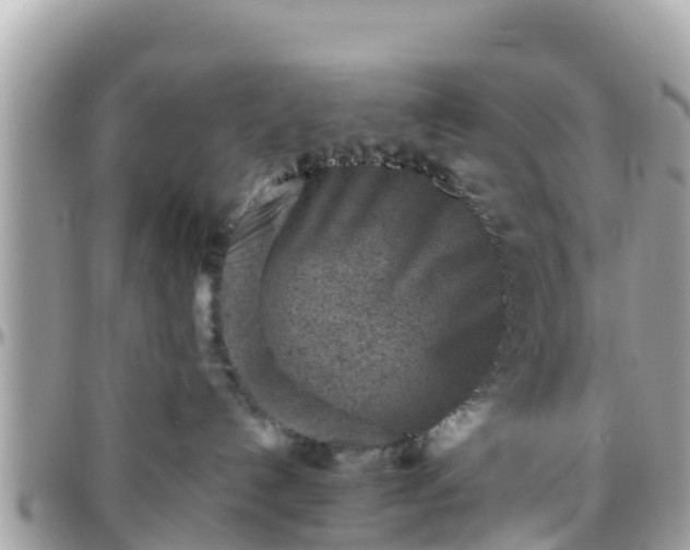 X0000096210192200801251042