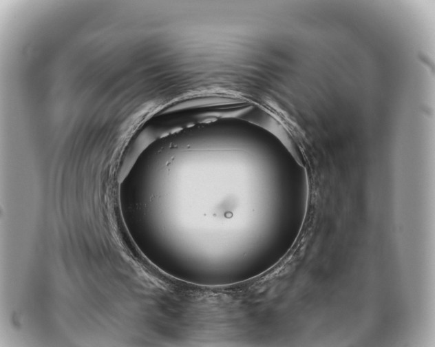 X0000096210193200801251042