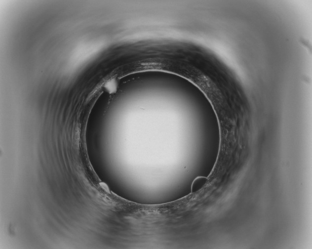 X0000096210194200801251042