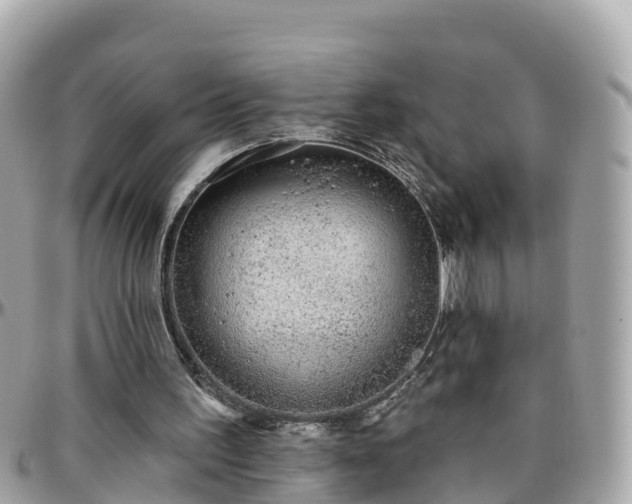 X0000096210195200801251042