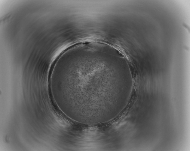 X0000096210196200801251042