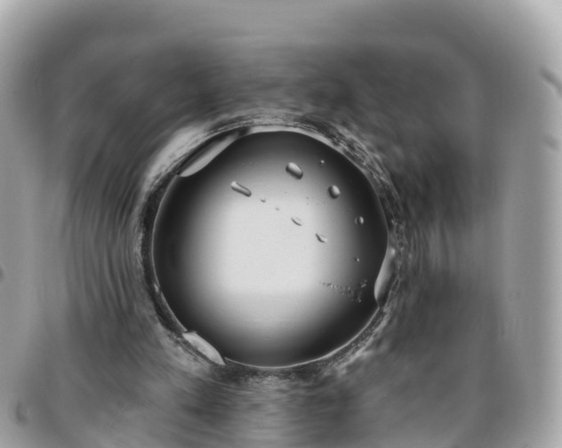 X0000096210197200801251042