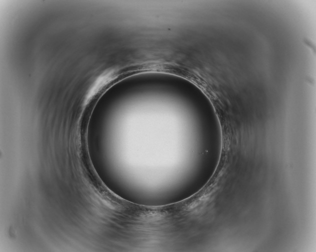 X0000096210198200801251042