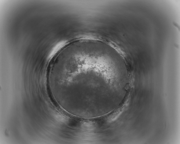 X0000096210199200801251042