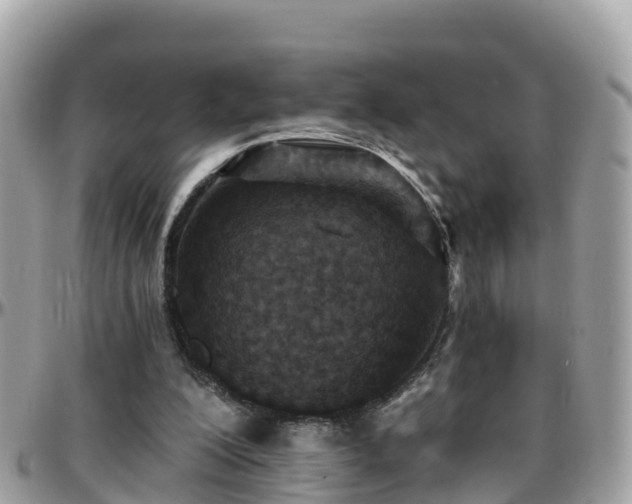 X0000096210200200801251042