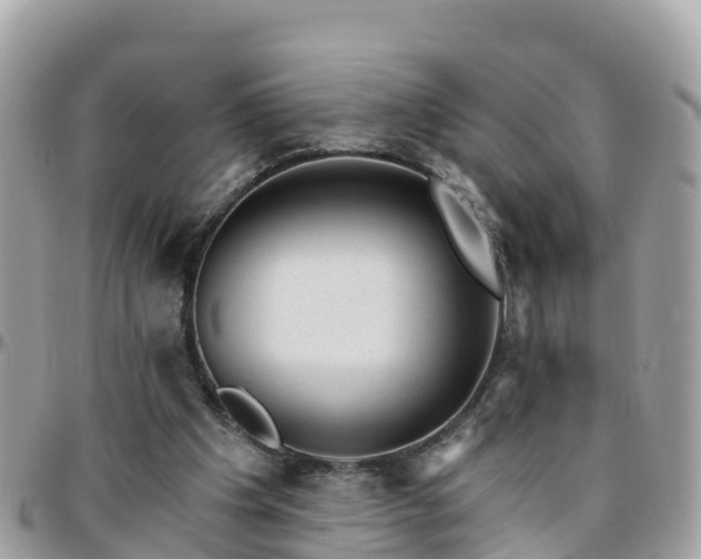 X0000096210201200801251042