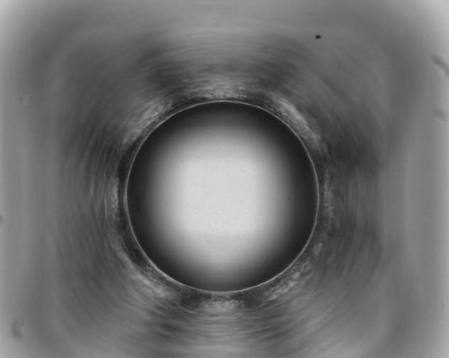 X0000096210202200801251042