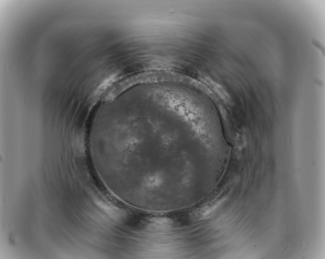 X0000096210203200801251042