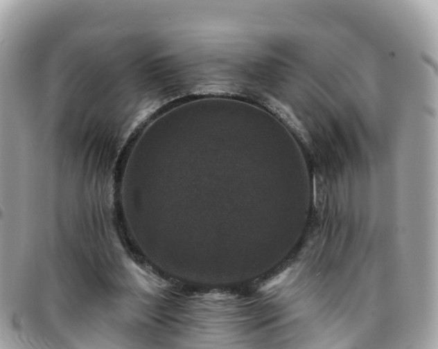 X0000096210204200801251042