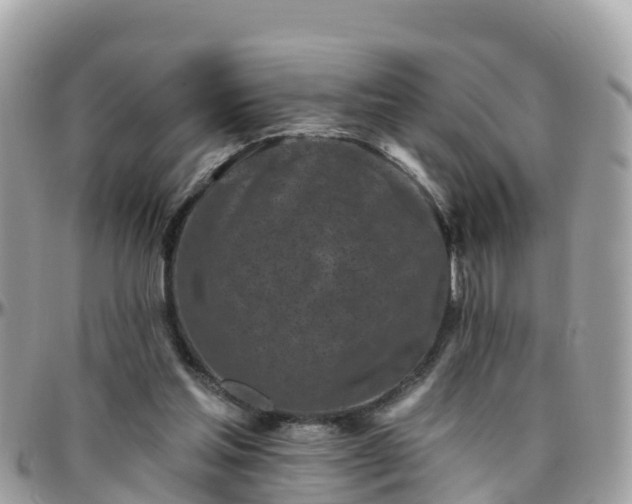 X0000096210205200801251042