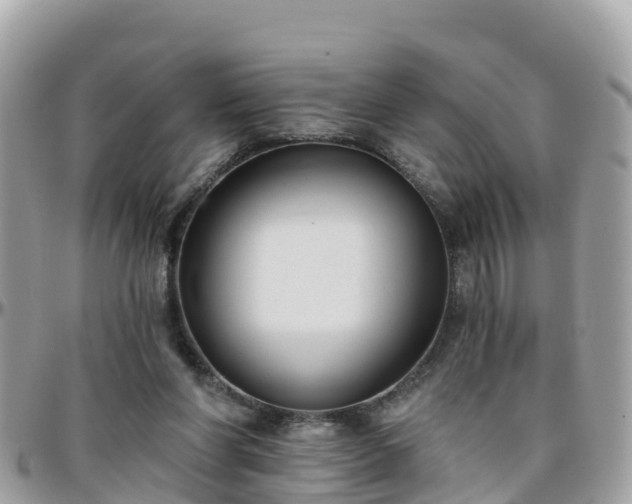 X0000096210206200801251042