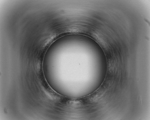 X0000096210208200801251042