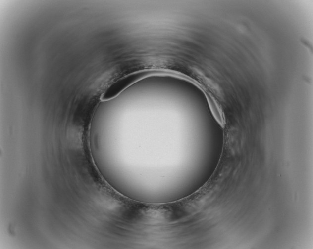 X0000096210209200801251042