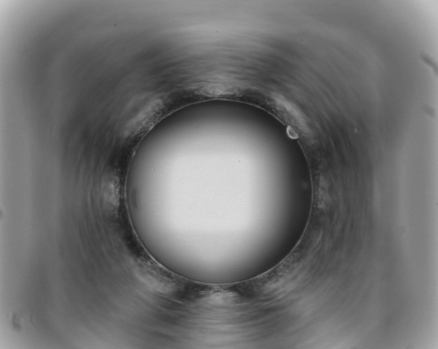 X0000096210210200801251042