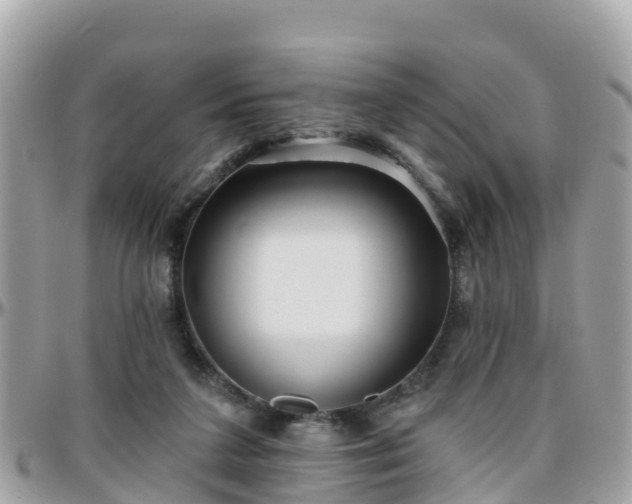 X0000096210211200801251042