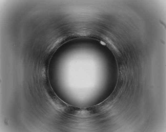 X0000096210212200801251042