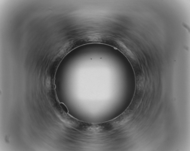 X0000096210213200801251042