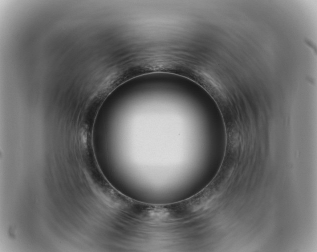 X0000096210214200801251041