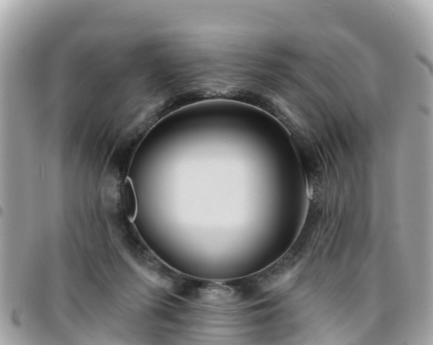 X0000096210215200801251041