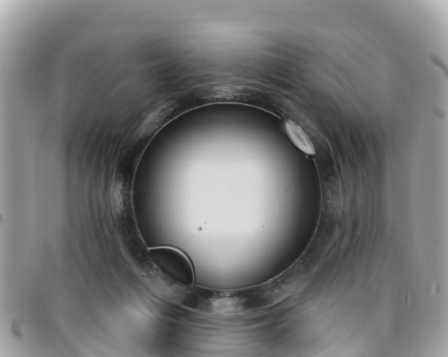 X0000096210216200801251041