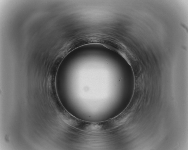 X0000096210217200801251041